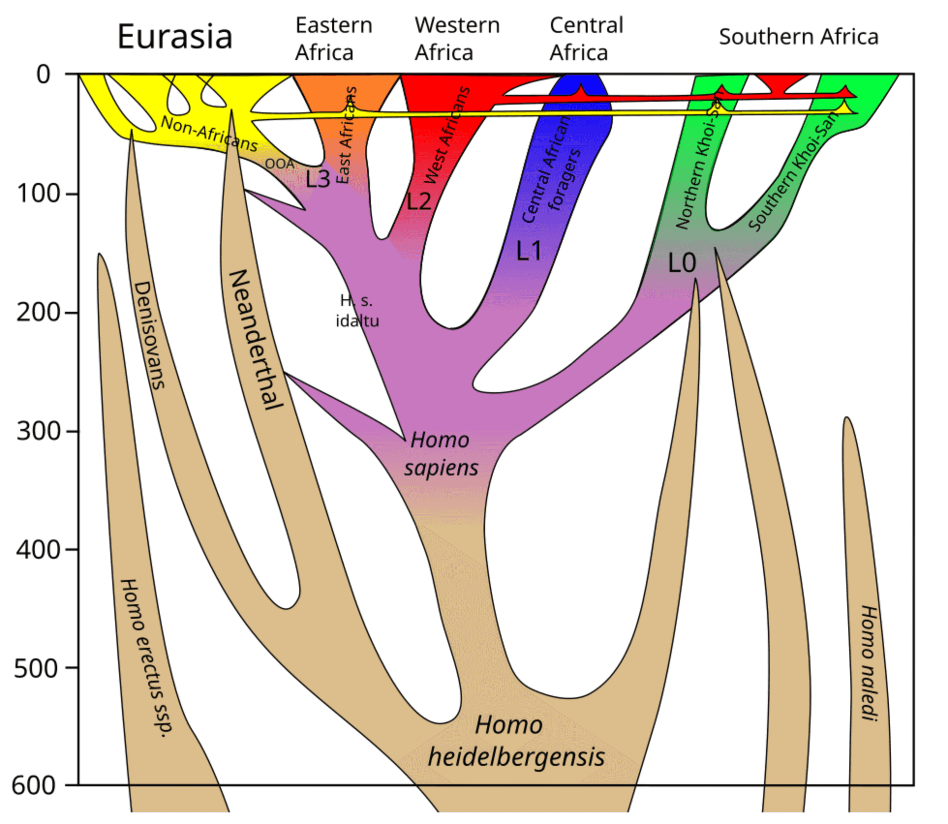 lineage-1