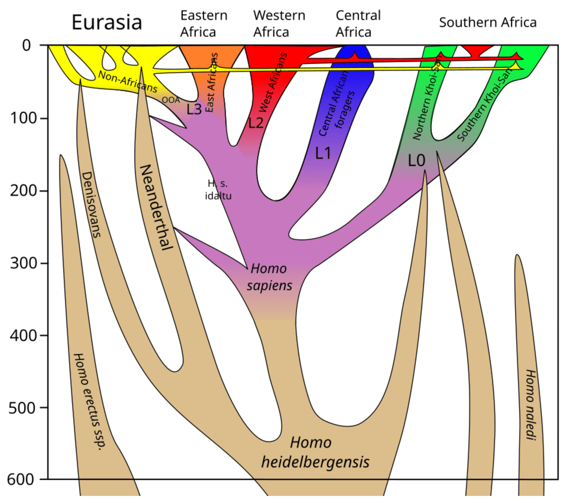 lineage-1