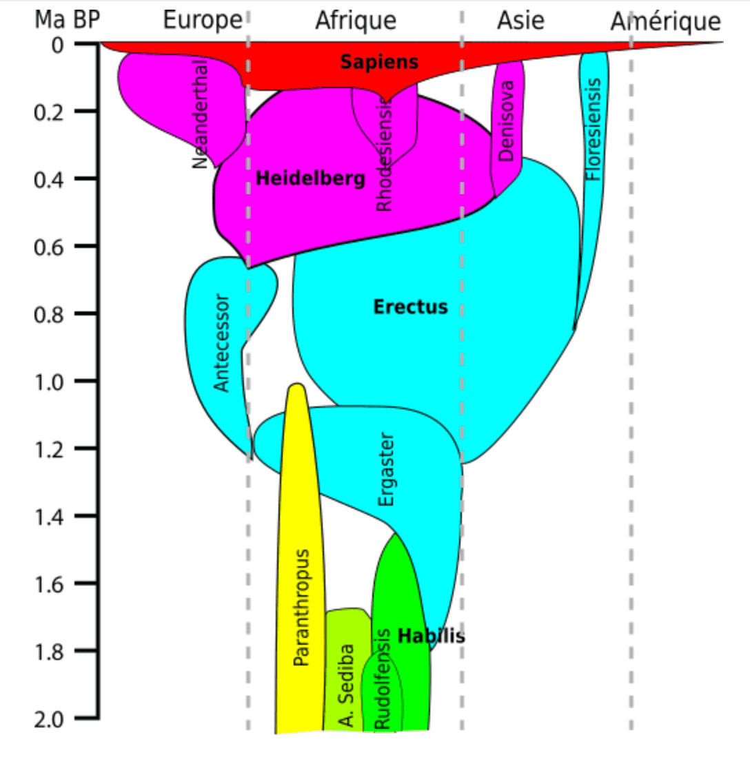 lineage-2