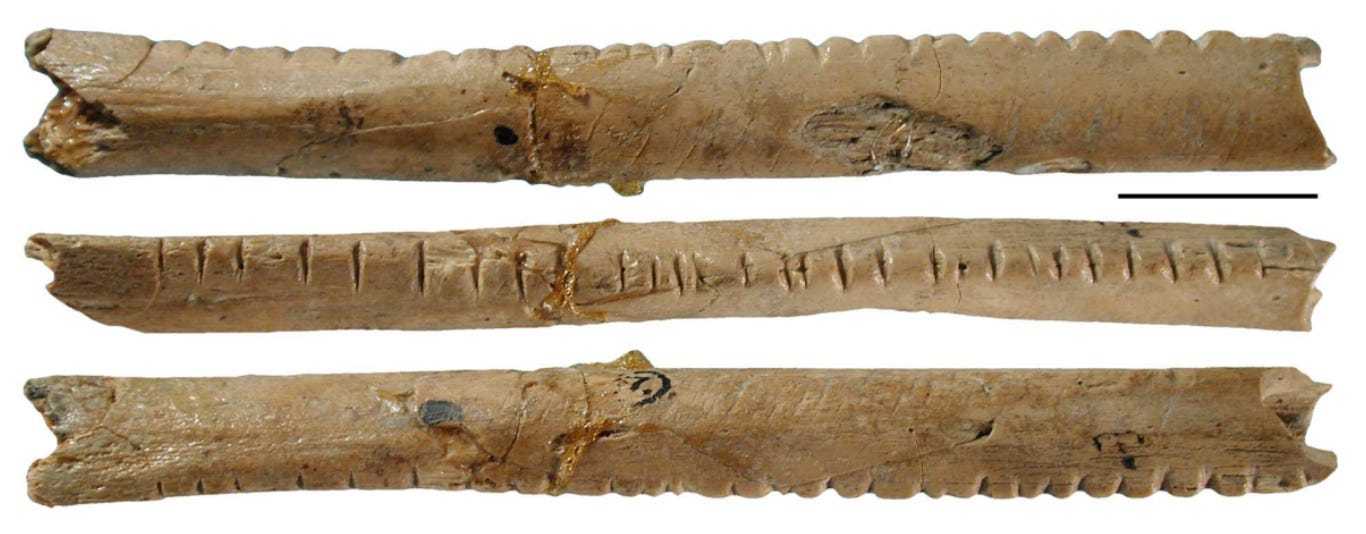 The Lebombo Bone