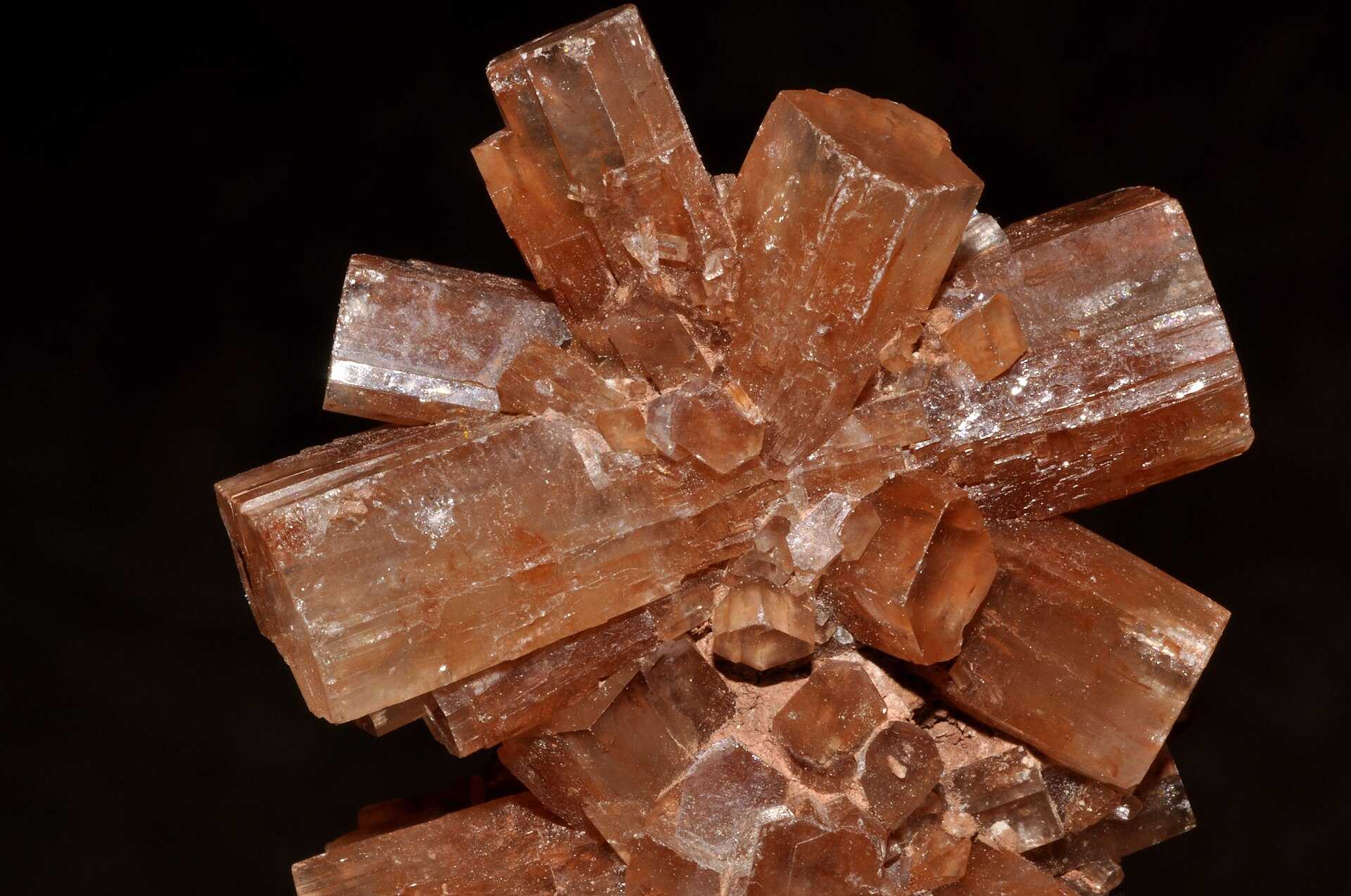 A cluster of orange, bladed aragonite crystals on a rock matrix