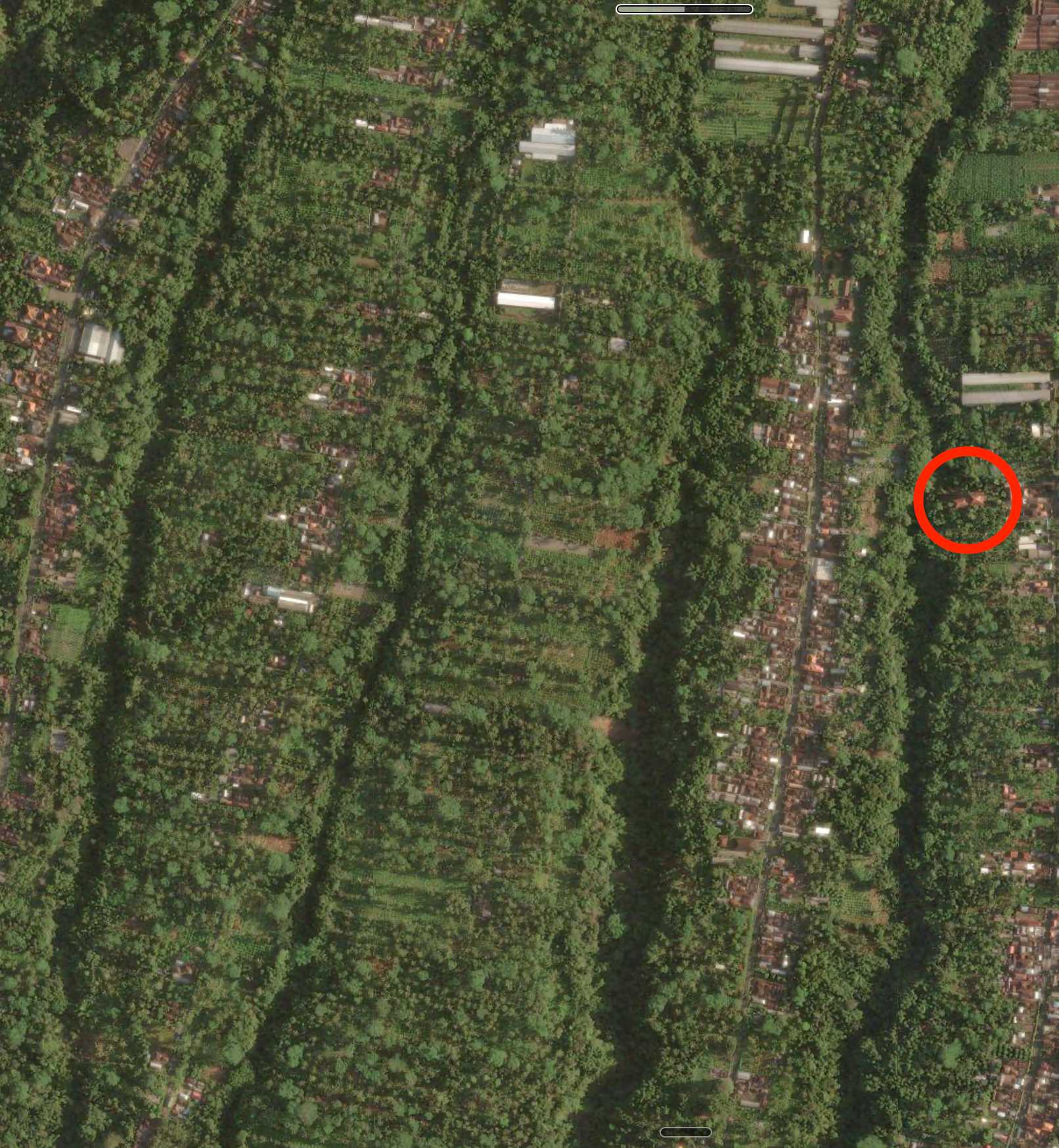 Satellite view of densely forested land in Bali cut by several sharp, parallel ravines running diagonally, with houses and roads along the ridges between them. A red circle marks Dhamma Geha on the edge of one ravine.